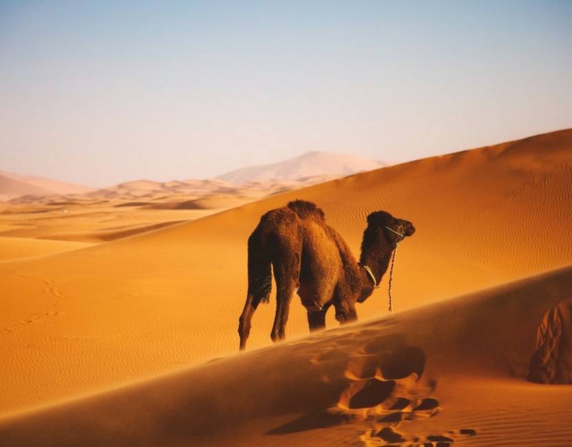 Morocco Explorers Tours